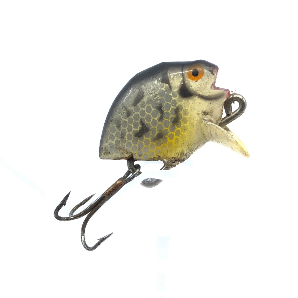 NEW! A Punkinseed Fly Rod Lure - Heddon No. 980 Punkie-Spook