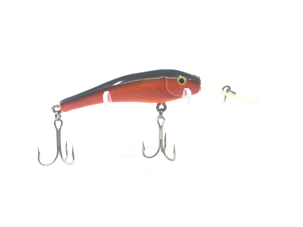 Orange and Black Back Minnow