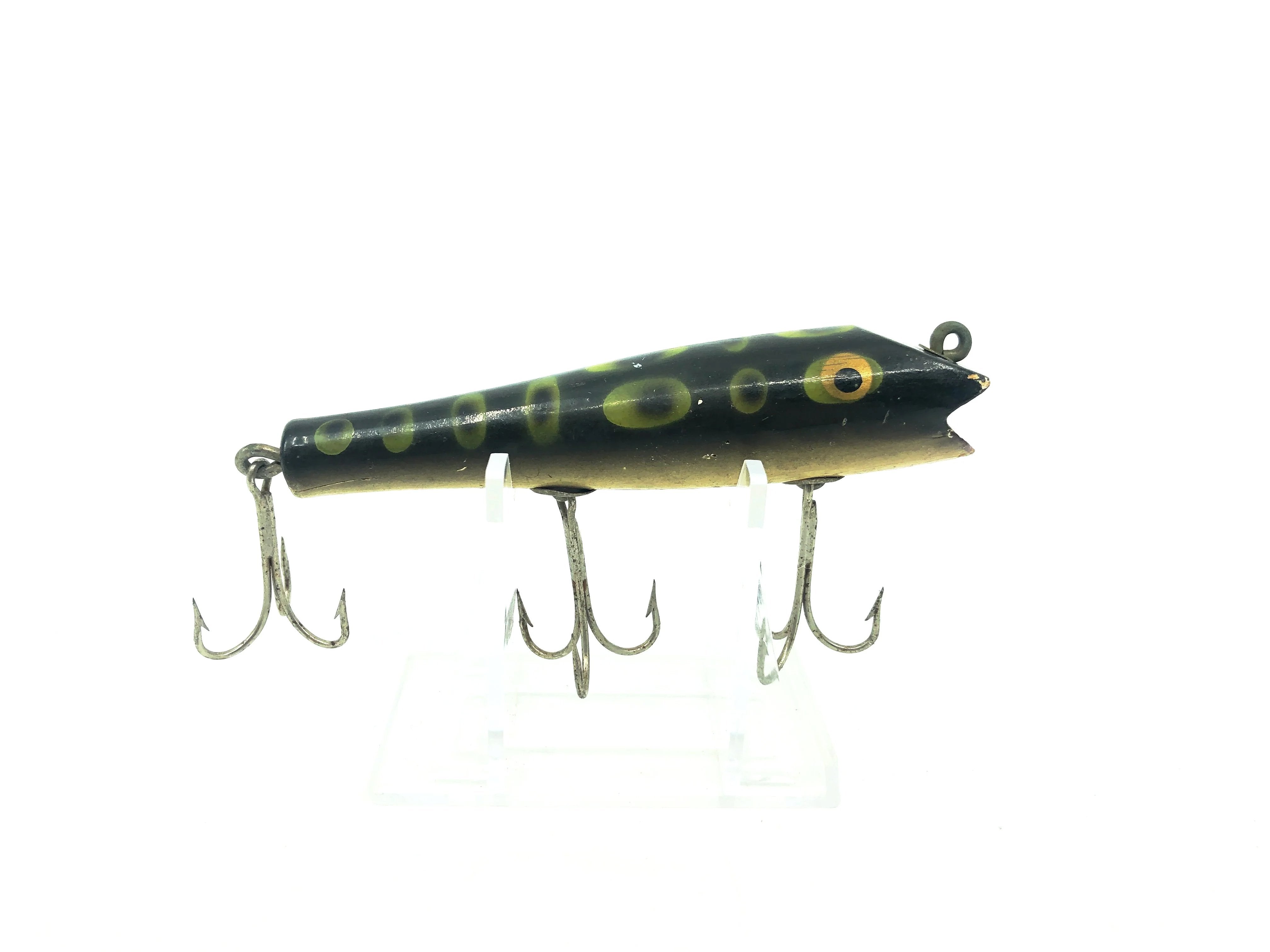 Paw Paw Darter, Frog Spot Color – My Bait Shop, LLC