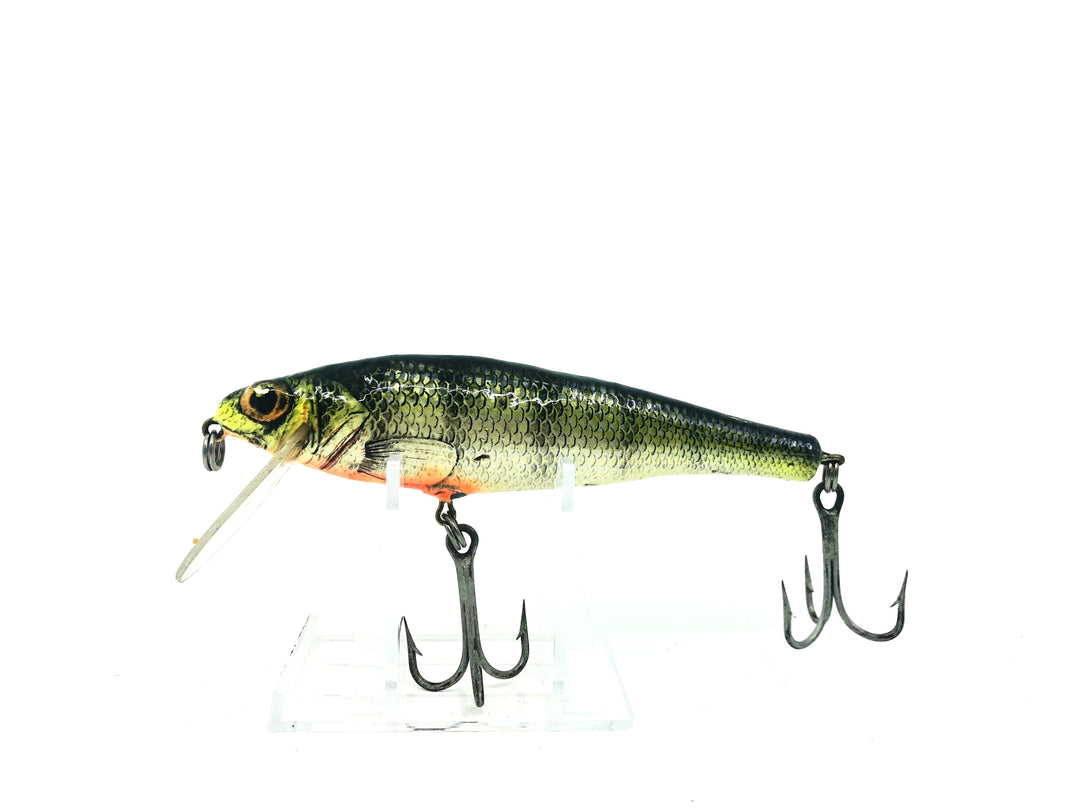 Bagley Small Fry Perch, Perch Color