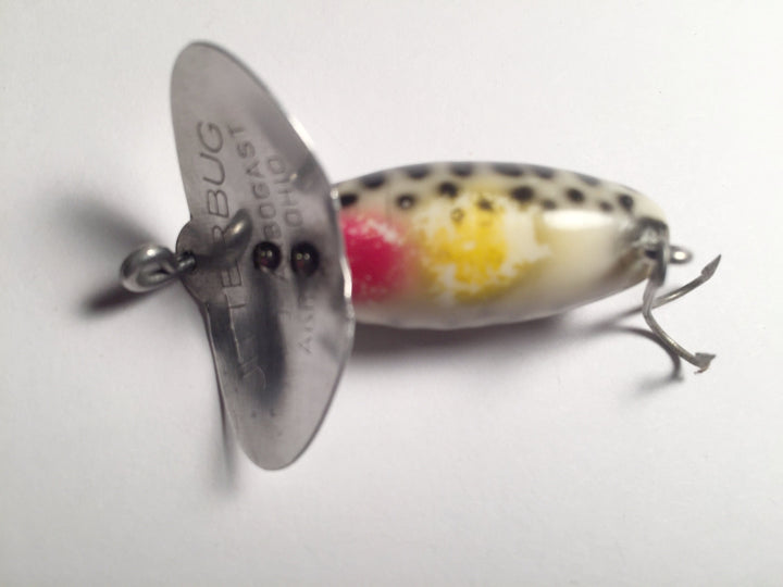 Arbogast Jitterbug Light Spinning or Fly Rod Jitterbug in Coachdog color