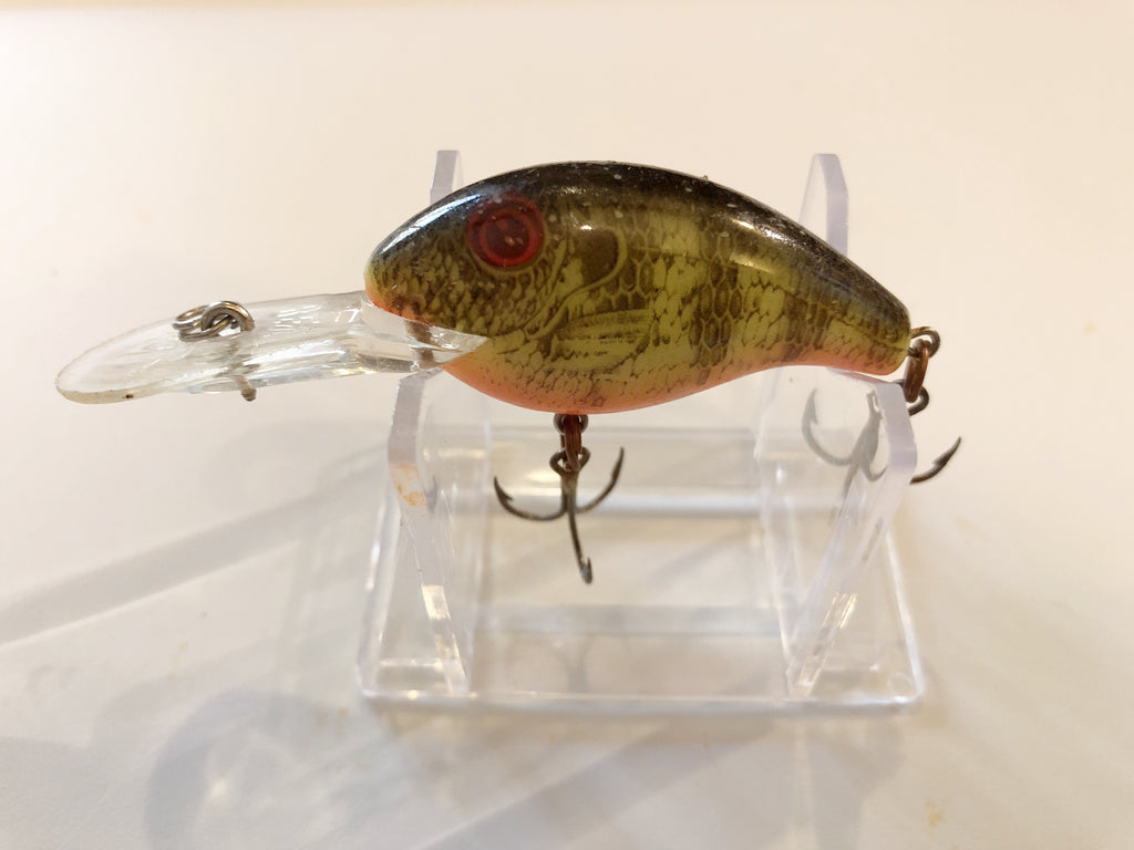 Rebel Deep Wee R Perch Color – My Bait Shop, LLC