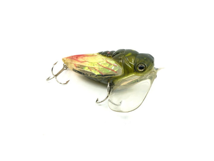 Bass Pro XPS Cicada Lazer Eye Top Water Lure