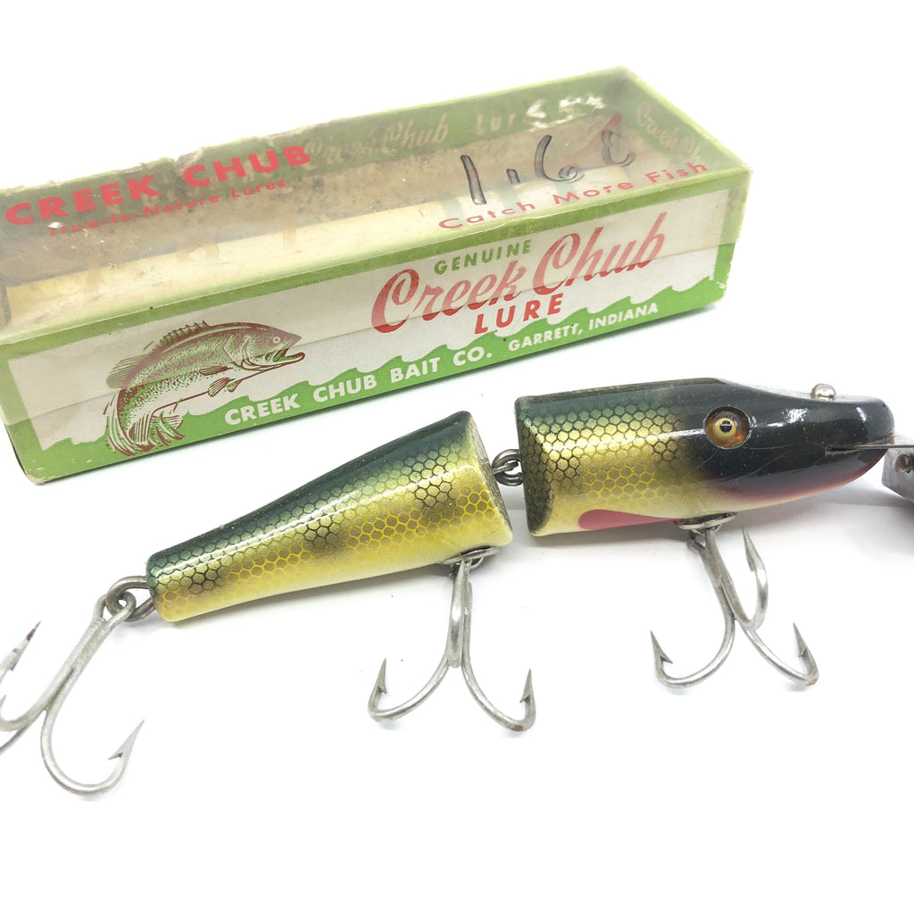 Creek Chub Jointed Pikie Perch Color with Box – My Bait Shop, LLC