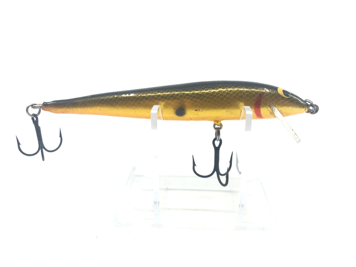 Golden Shad Minnow