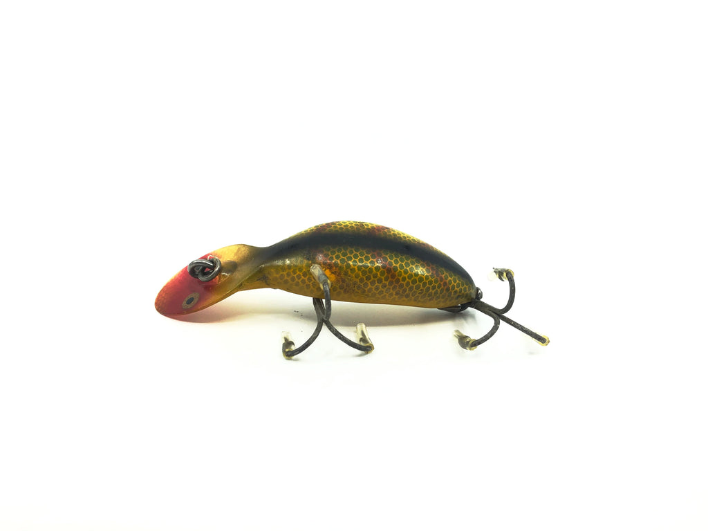 Heddon Tadpolly Spook L Perch Color – My Bait Shop, LLC