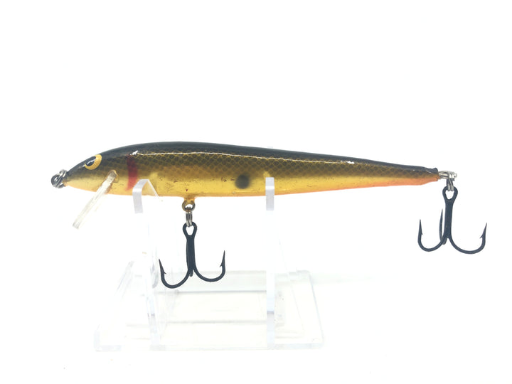 Golden Shad Minnow