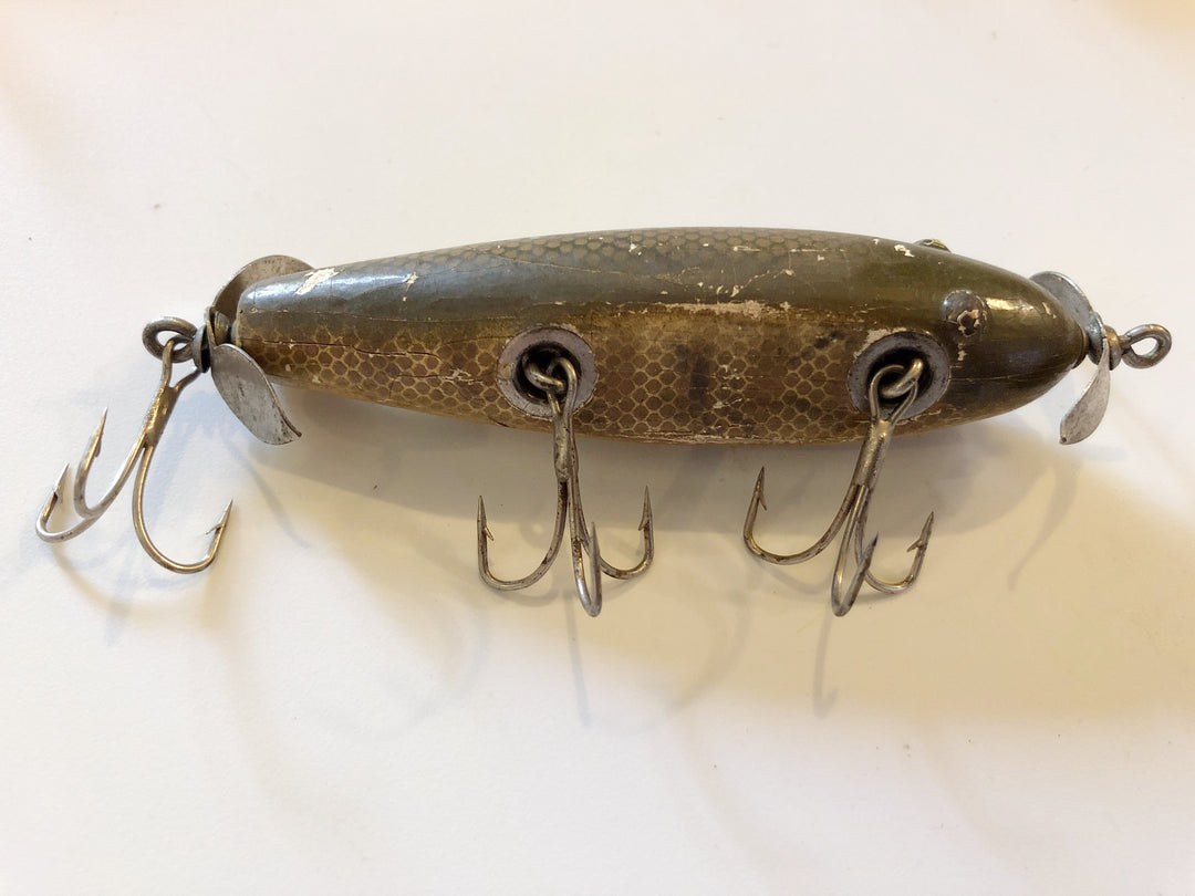 Creek Chub Injured Minnow Tack Eye