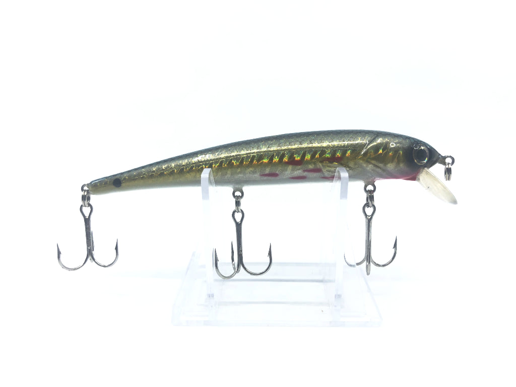 Bass Pro Shops XPS Floating Minnow – My Bait Shop, LLC