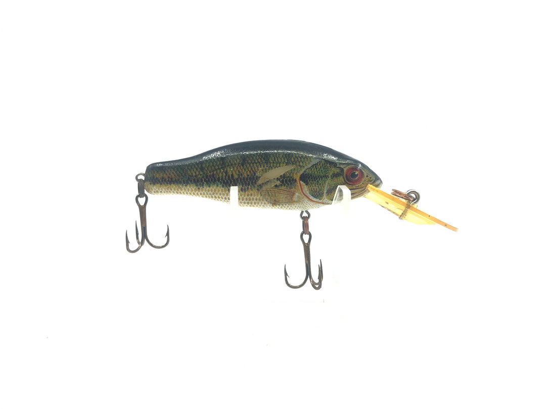 Rebel Baitfish Series Bass