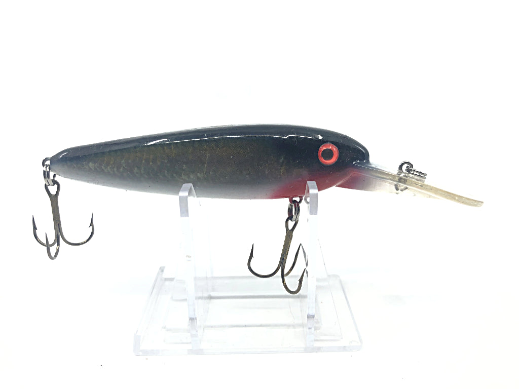 Black and Red Shad Crankbait