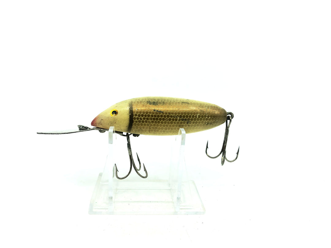 Cisco Kid Diver Gold Scale Color