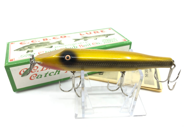 Creek Chub Pikie Golden Shiner Color Limited Edition