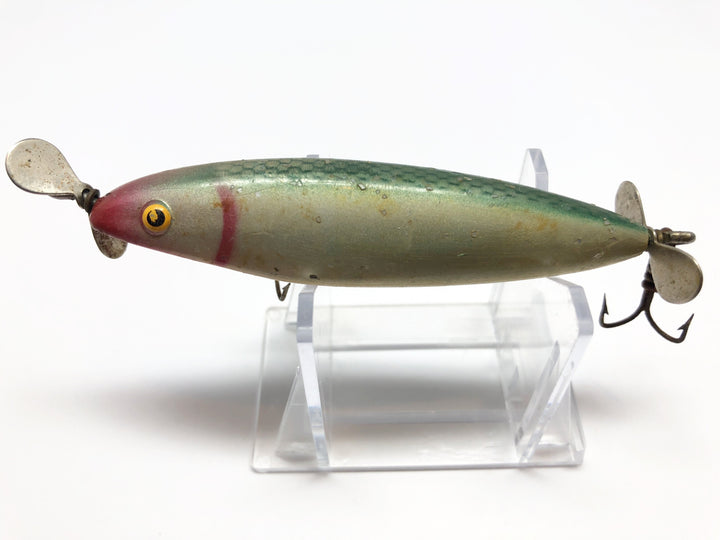 Injured Minnow Blue Green Scale Shiner Color Cisco Kid