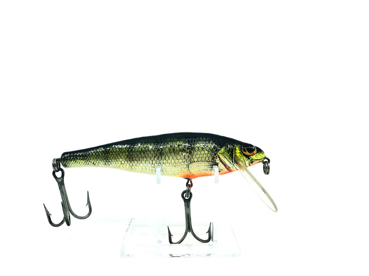 Bagley Small Fry Perch, Perch Color