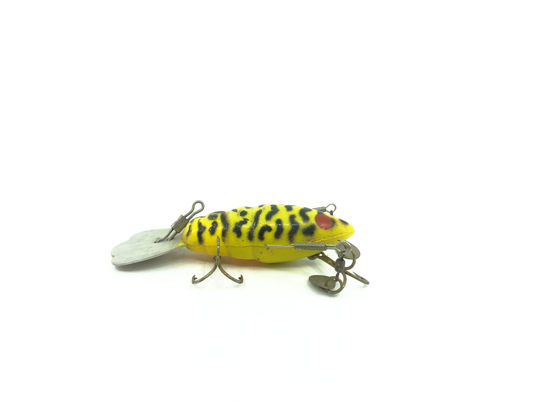 Blakemore Crawfish, Yellow Coachdog Color