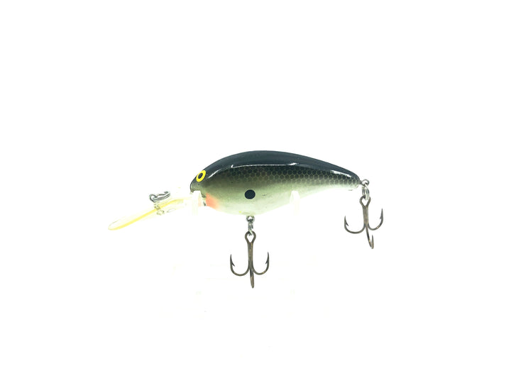 Bill Norman Deep Little N Tennessee Shad Color