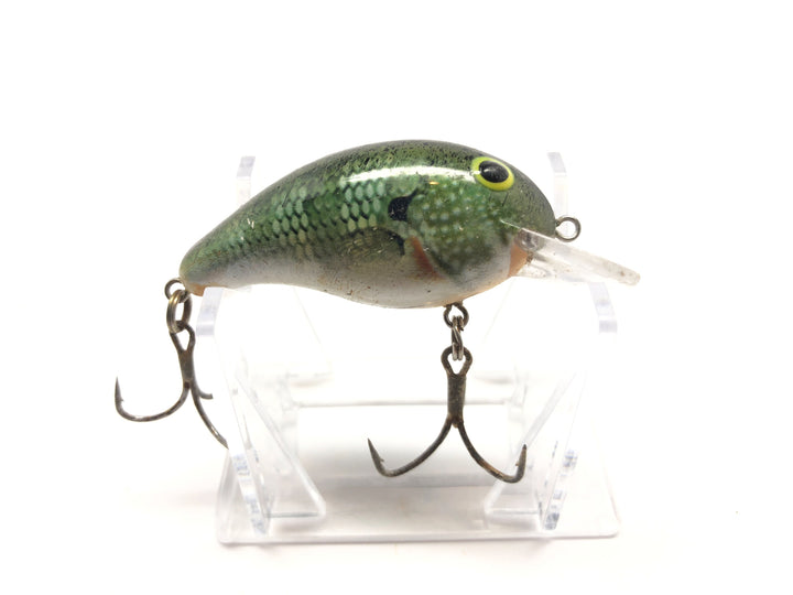 Bandit Crankbait Bluegill Color