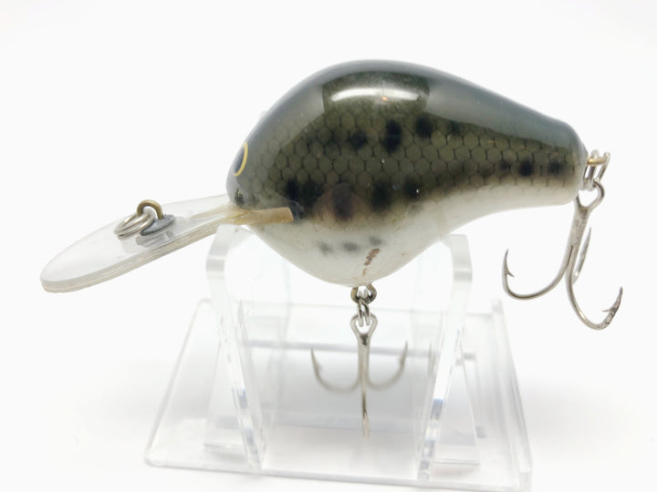 Bagley Baby Bass B1 Diving Vintage Lure