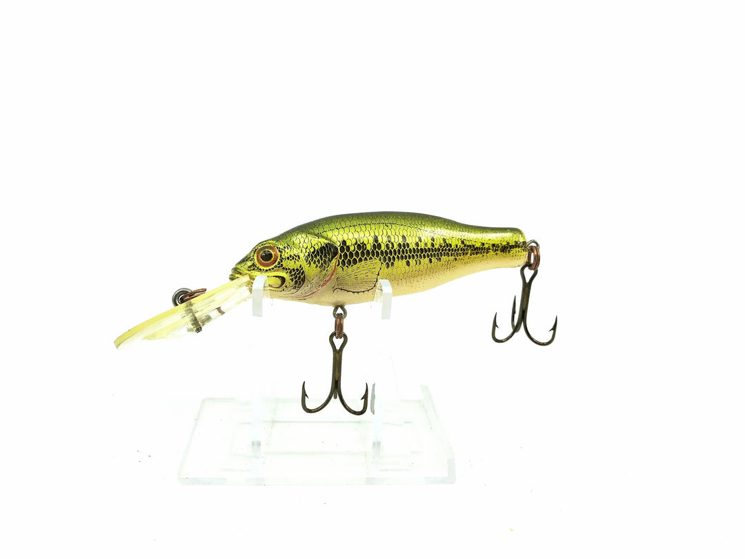 Rebel Baitfish Series Bass