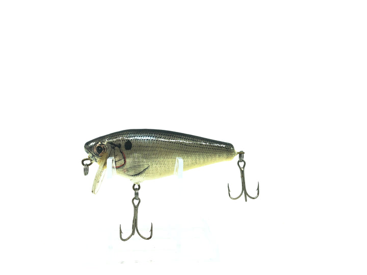 Bagley Small Fry SH4-Shad on White Color Shallow Lip