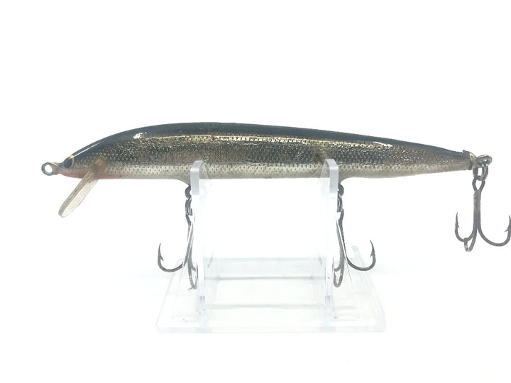 Silver Minnow