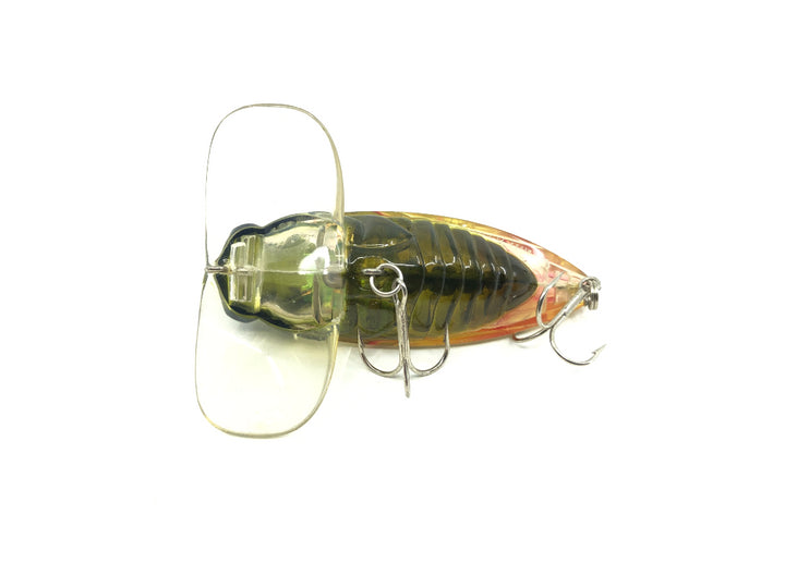 Bass Pro XPS Cicada Lazer Eye Top Water Lure