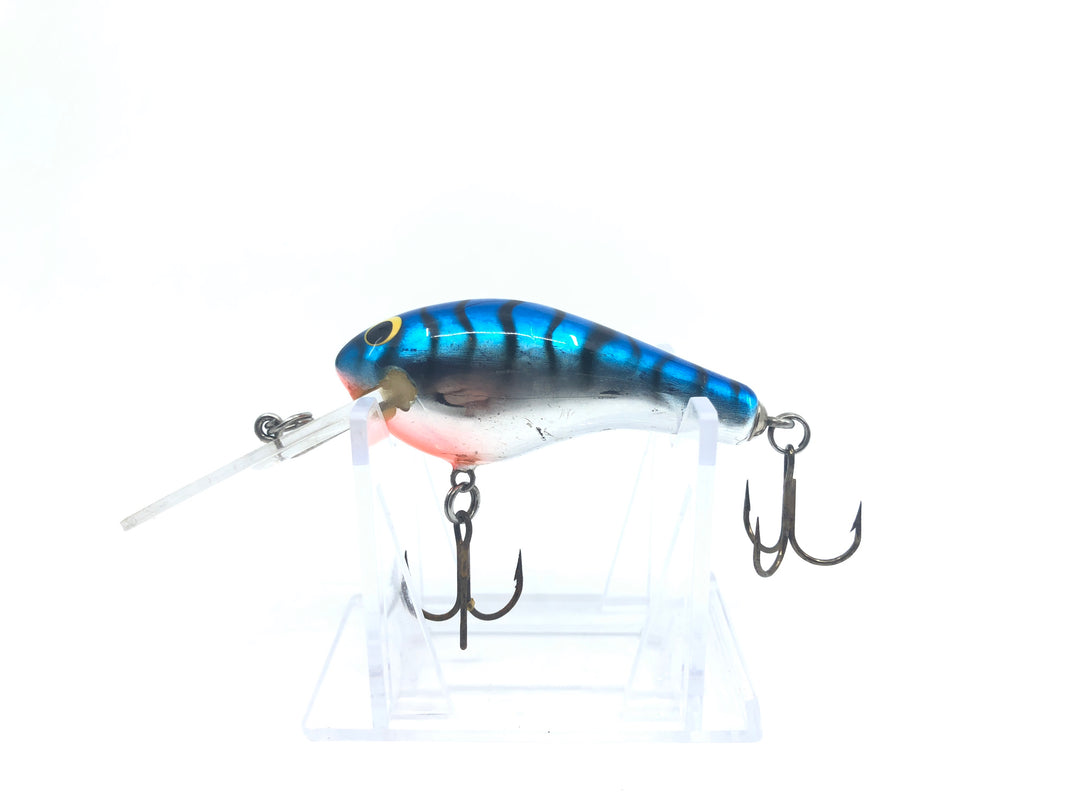 Bagley DB3 Blue Tiger Color