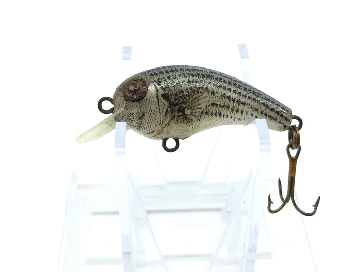 Cordell Big-O Small Size Striped Bass Color