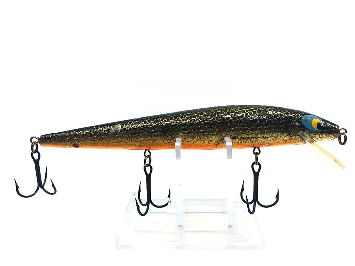 Warrior Smithwick Suspending Rattlin' Rogue Chrome/Black Back and Orange Belly