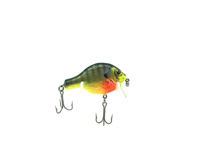 Bagley Small Fry SF1 BRG Color Beam on Chartreuse