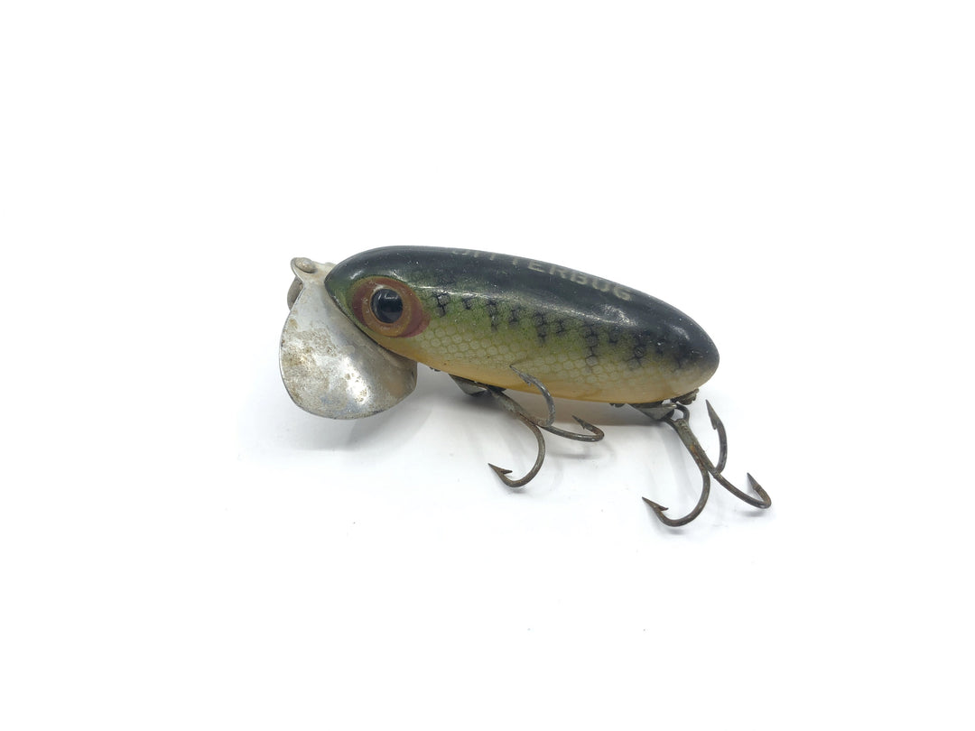 Arbogast Jitterbug Perch Color