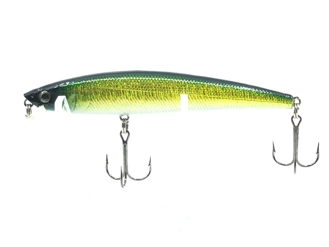 Algae Green Minnow