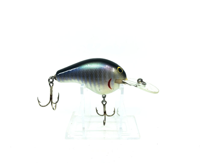 Bagley Diving B2 DB2-BGL Bluegill Shad on White Color