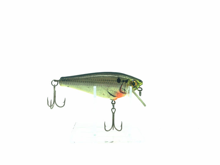 Bagley Small Fry 3" Shad, SH4 Shad on White Color