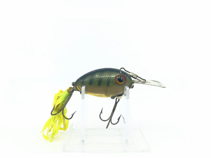 Arbogast Arbo-Gaster Perch Color