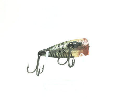 Heddon Chugger Spook Jr. 9520 XRS Silver Shore – My Bait Shop, LLC