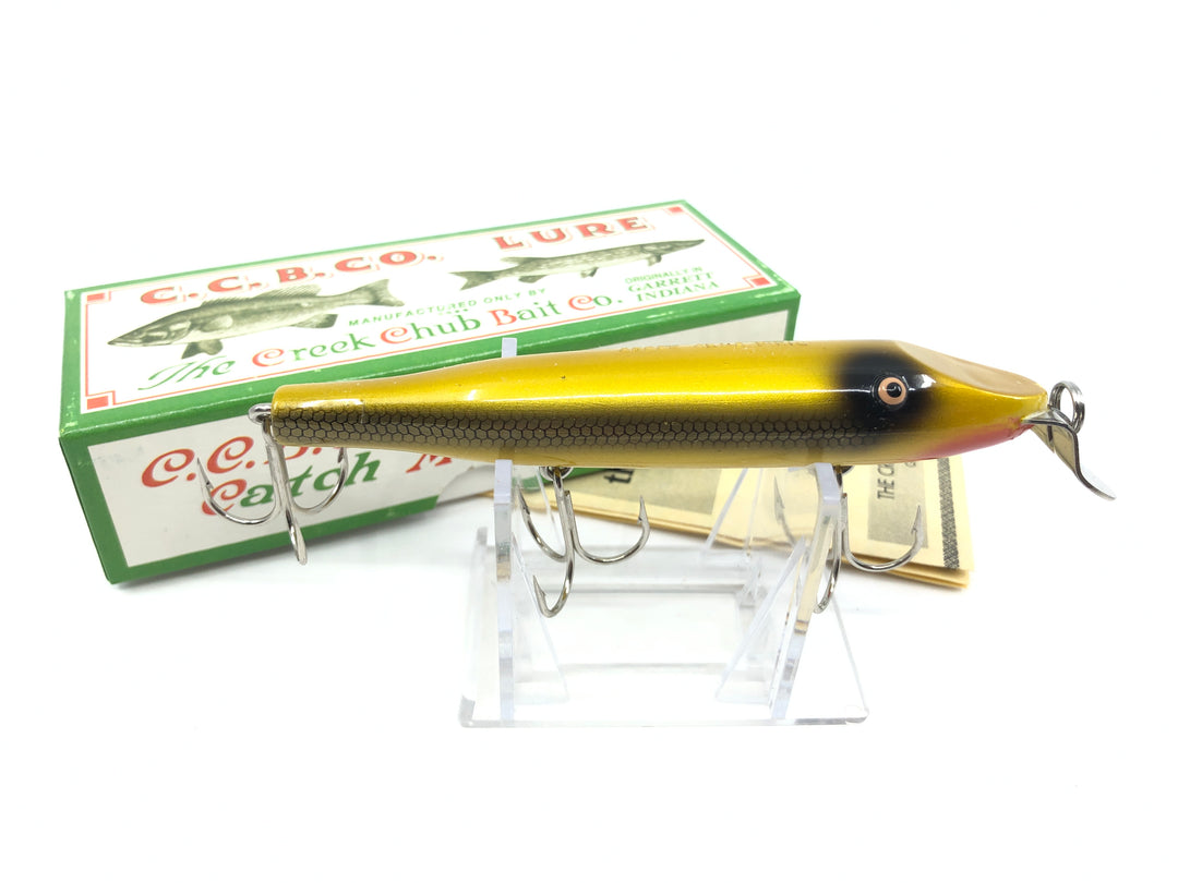 Creek Chub Pikie Golden Shiner Color Limited Edition