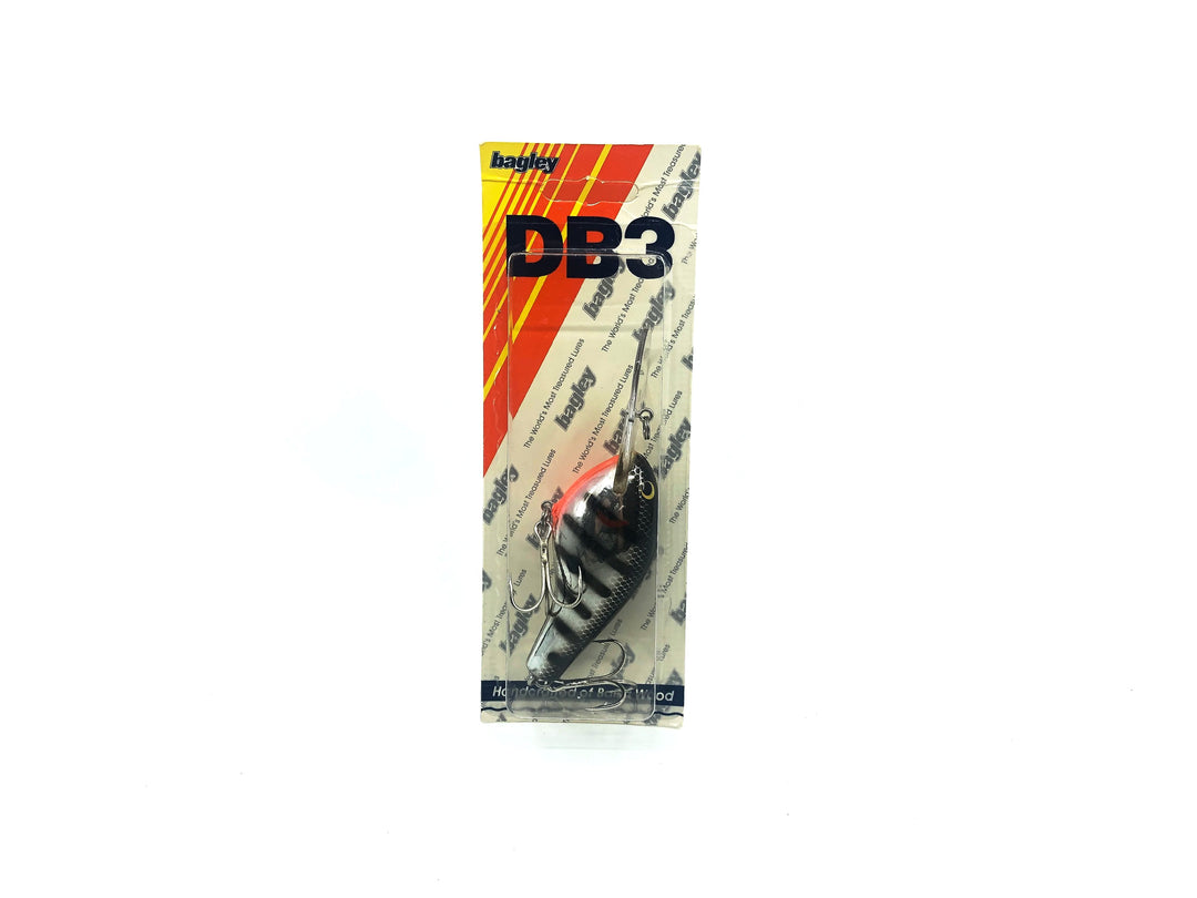 Bagley Diving B3 DB3-FSBS Black Stripe on Silver Chrome Color, New on Card, Florida Bait