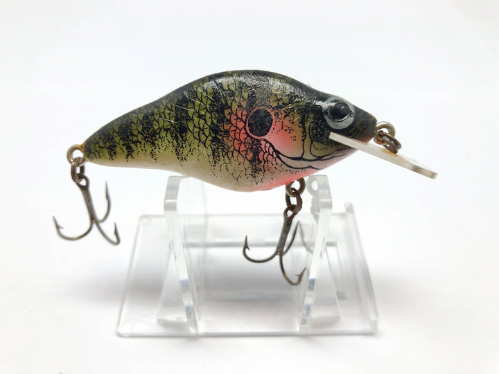 Lazy Ike Natural Ike Bluegill Color NIM Medium Diver Square Lip BG