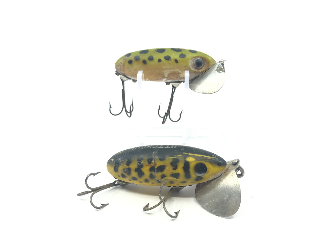 Two Arbogast Jitterbug Frogs Color