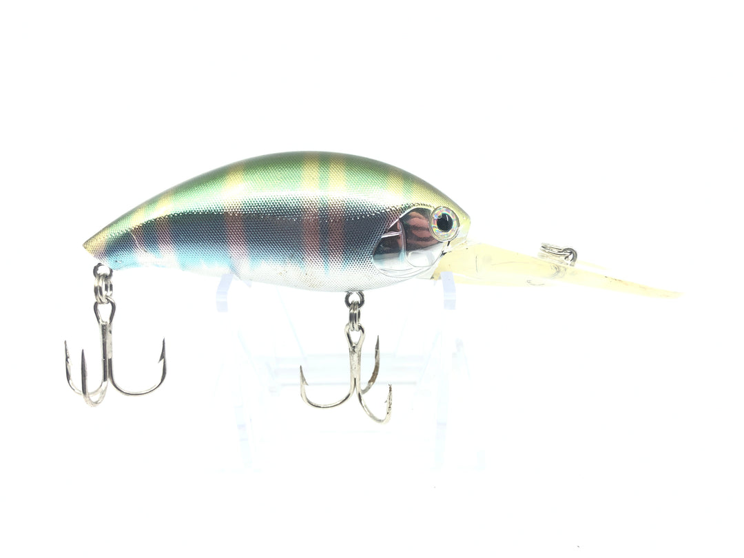 Unmarked Rainbow Perch Crankbait