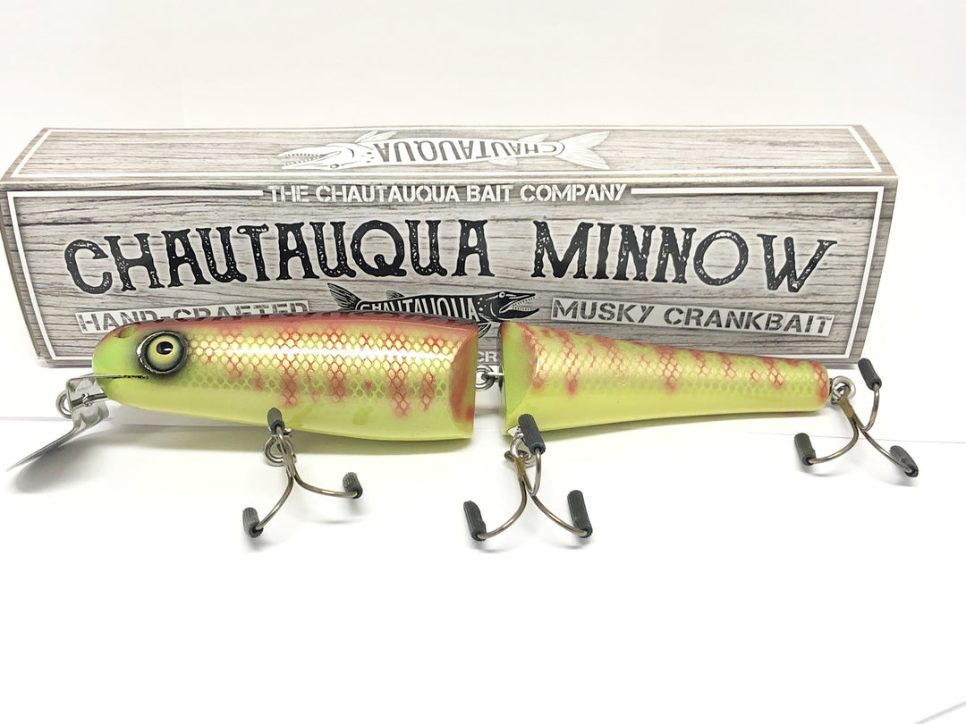 Jointed Chautauqua 8" Minnow Musky Lure Special Order Color "Fluorescent Perch"