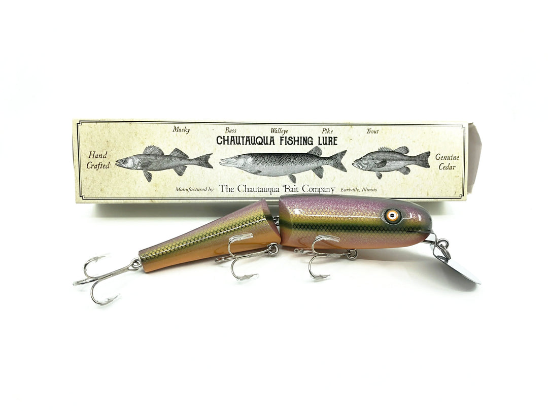 Jointed Chautauqua 8" Minnow Musky Lure Purple Dace Color