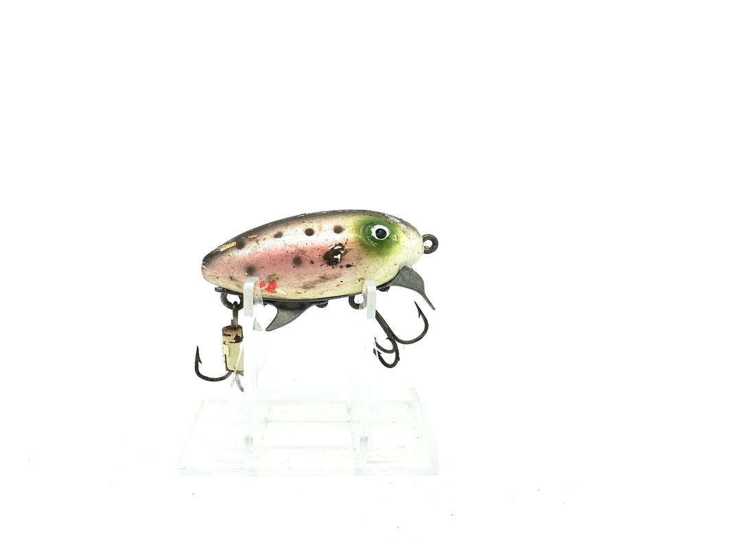 Clark's Water Scout Rainbow Trout Color