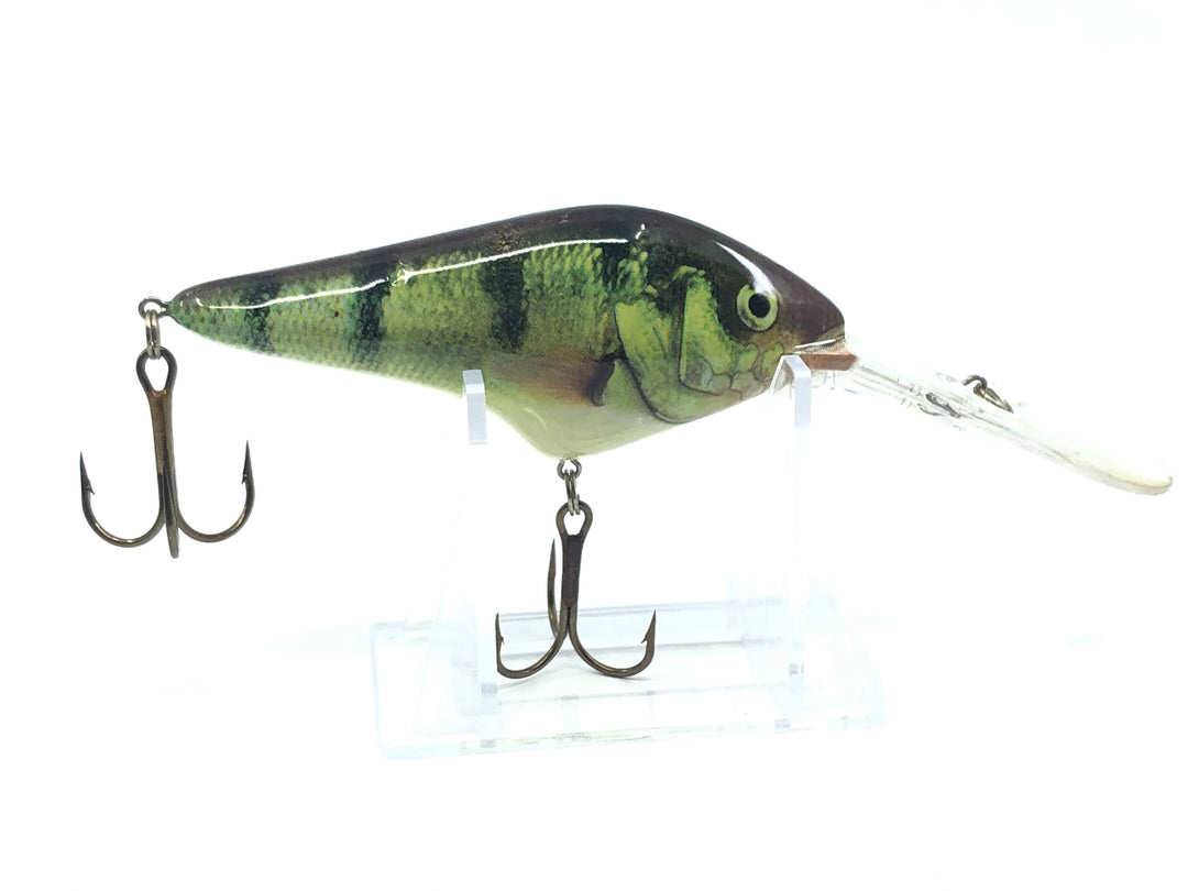 Berkley Frenzy Bass