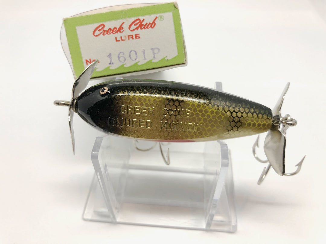 Creek Chub 1601P Baby Injured Minnow in Perch Color New in Box