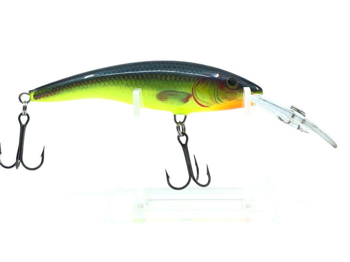 Rapala Long Diver Perch