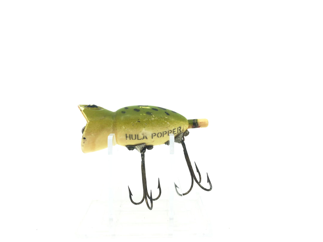 Arbogast Hula Popper Frog Early Plastic