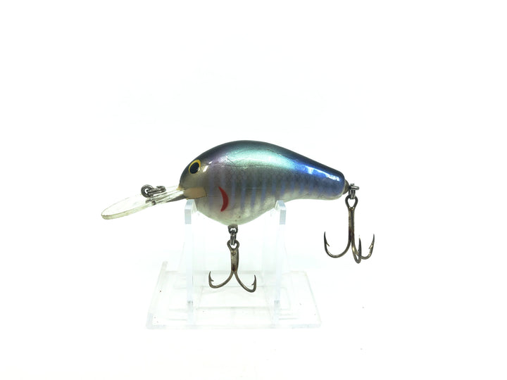 Bagley Diving B2 DB2-BGL Bluegill Shad on White Color